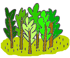 Coloured image of group of trees